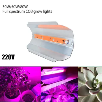 220V COB LED Grow Light patalpų lauko vandeniui augalų lempos aliuminio Gėlių šiltnamio efektą sukeliančių daržovių cultivo kambarys, sodas dėžutę